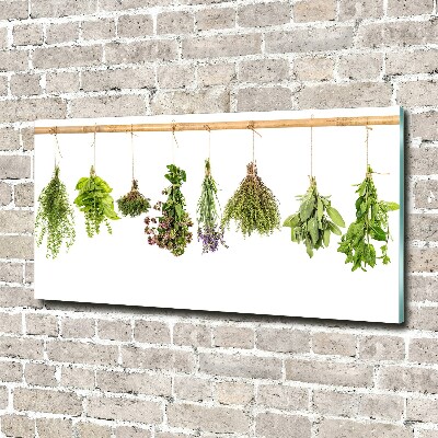 Printed glass wall art Herbs on a string