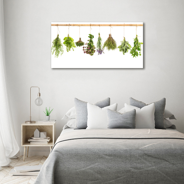 Printed glass wall art Herbs on a string