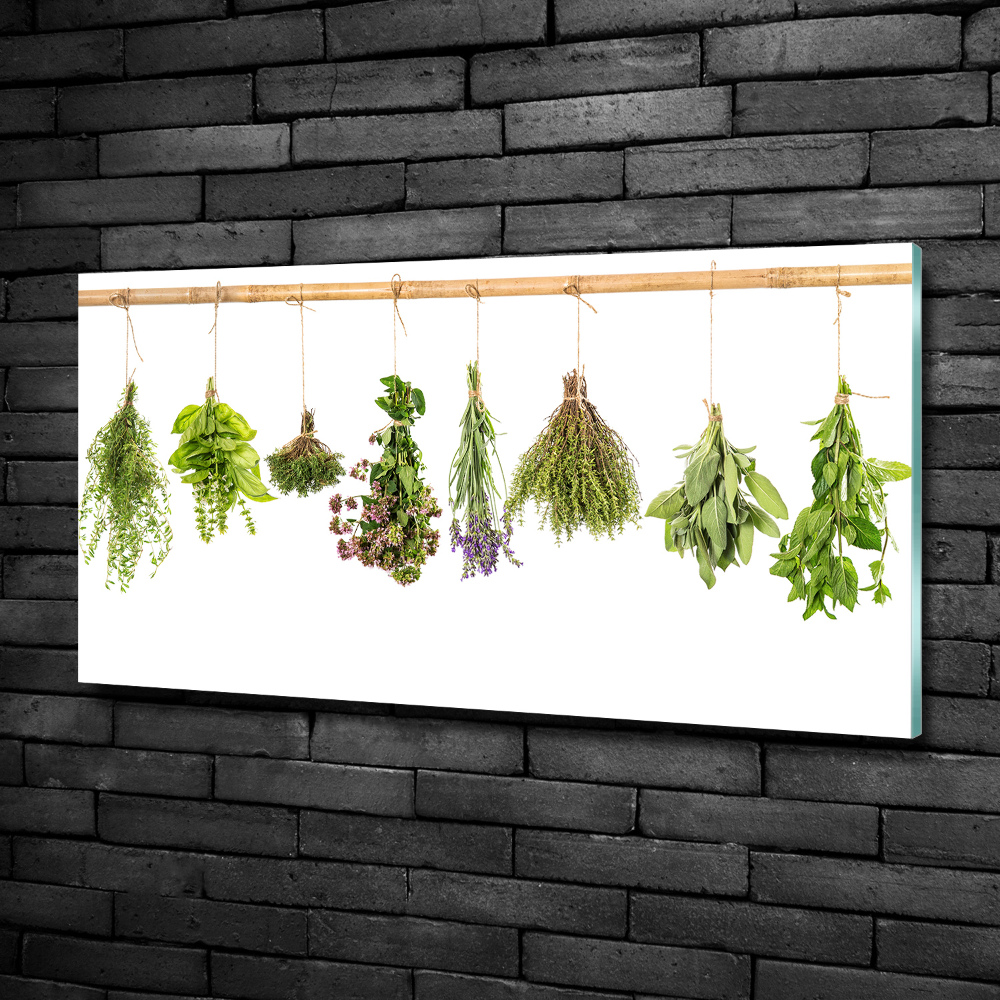 Printed glass wall art Herbs on a string