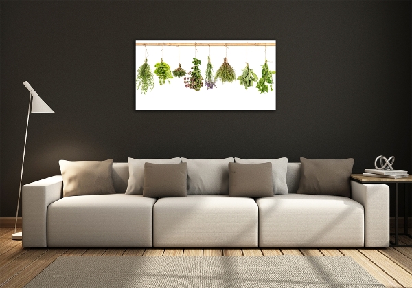 Printed glass wall art Herbs on a string