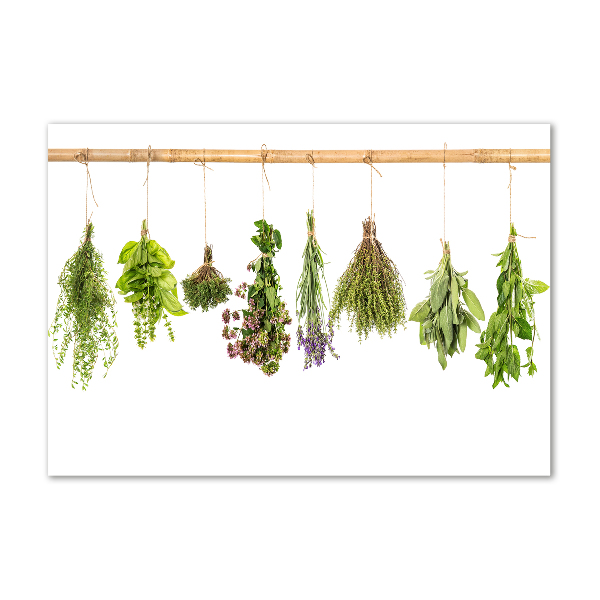 Printed glass wall art Herbs on a string