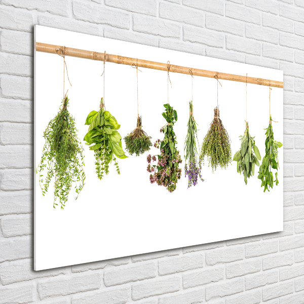 Printed glass wall art Herbs on a string