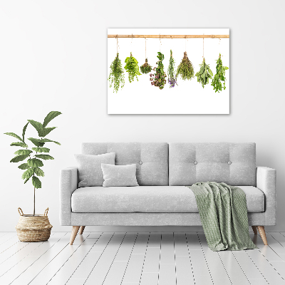 Printed glass wall art Herbs on a string