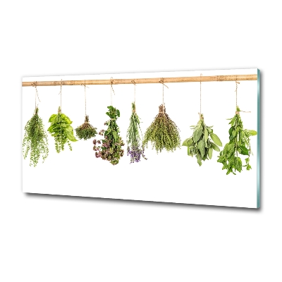 Printed glass wall art Herbs on a string