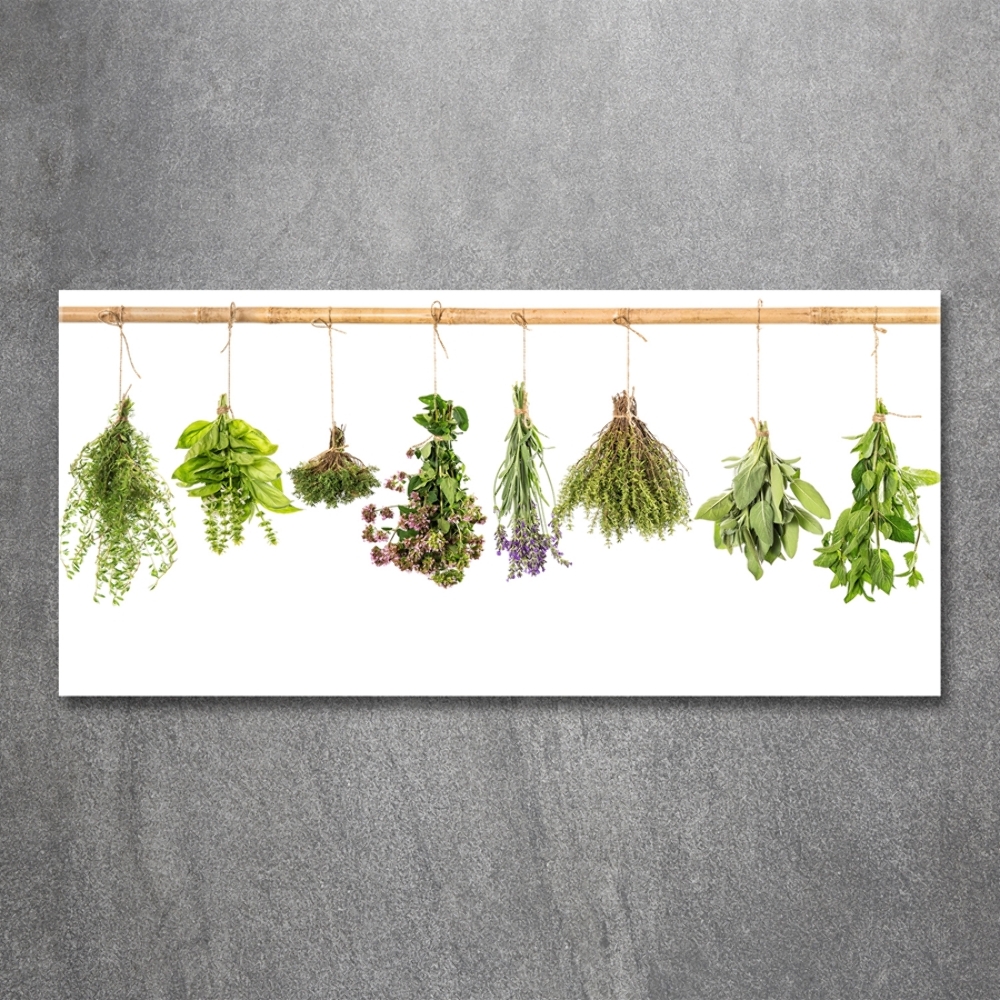 Printed glass wall art Herbs on a string