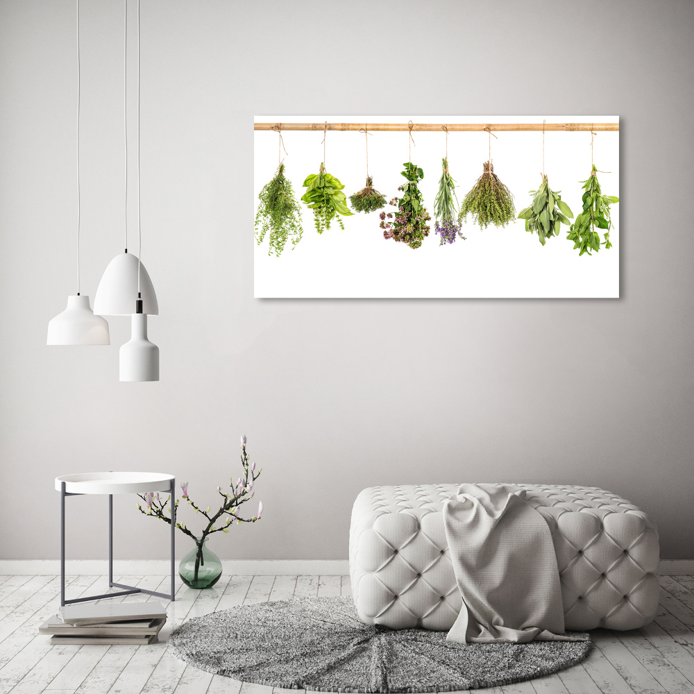 Printed glass wall art Herbs on a string