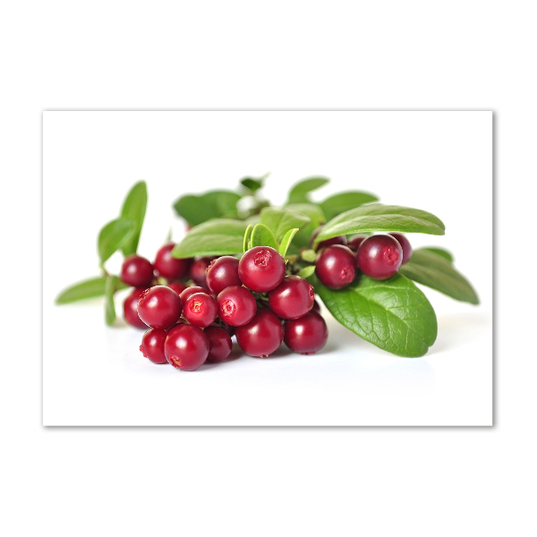 Glass picture wall art Cowberry