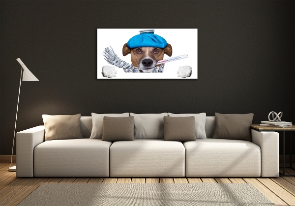 Photo printed on glass Sick dog