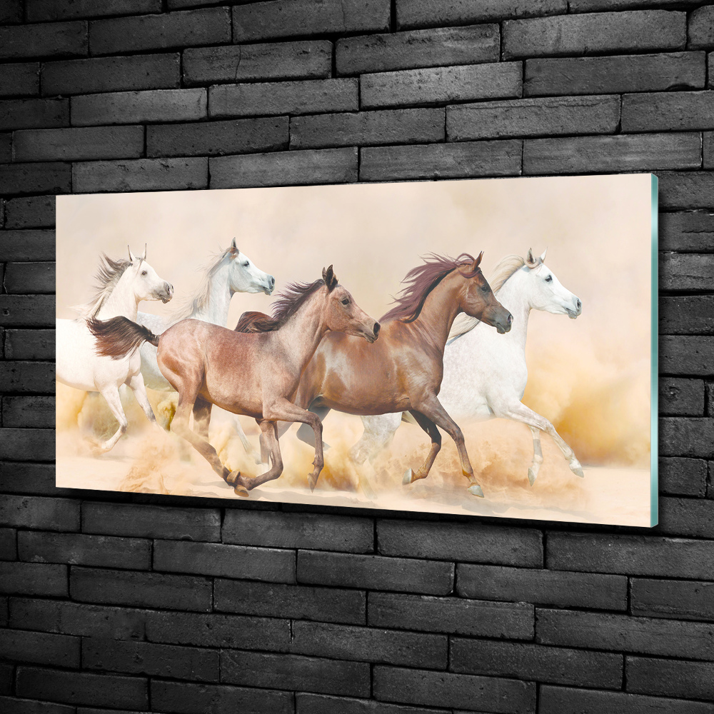 Glass picture wall art Horses at gallop