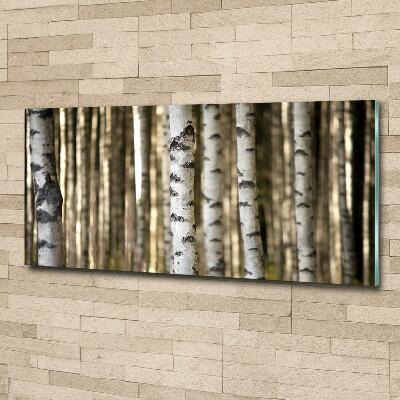 Glass wall art large Birch