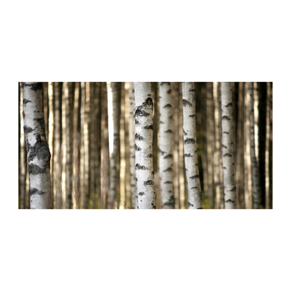 Glass wall art large Birch