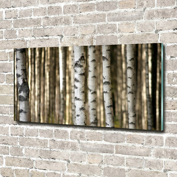 Glass wall art large Birch