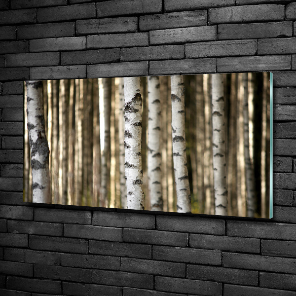 Glass wall art large Birch