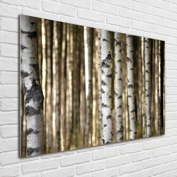 Glass wall art large Birch