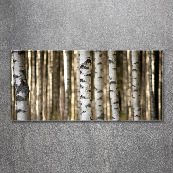 Glass wall art large Birch