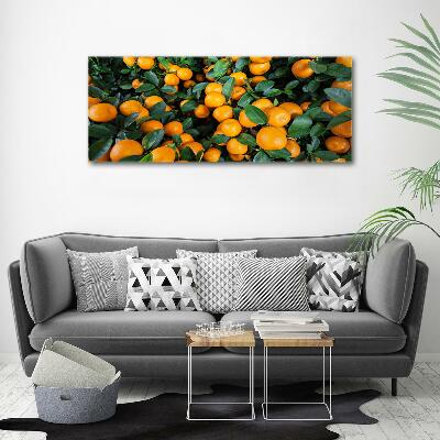 Glass picture wall art Tangerines