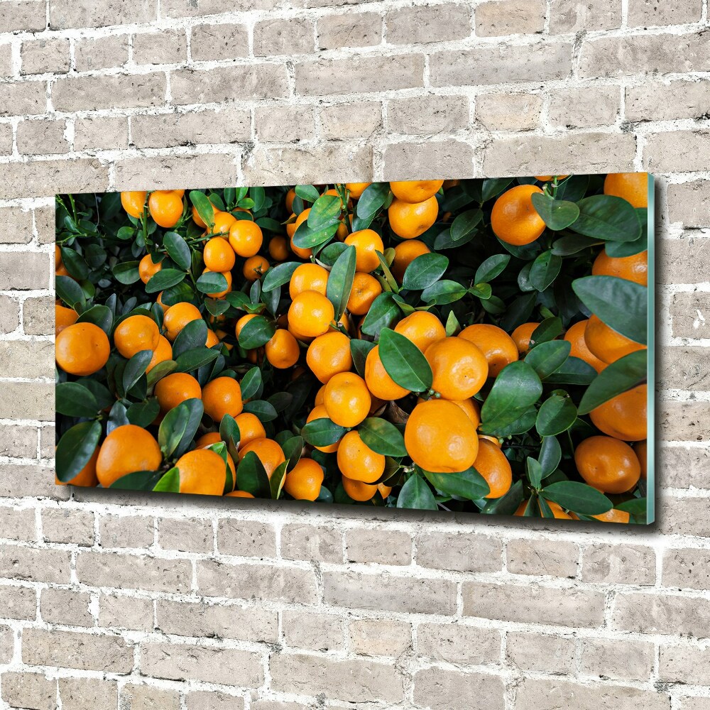 Glass picture wall art Tangerines