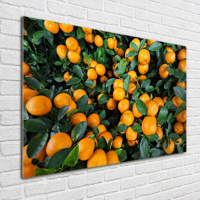 Glass picture wall art Tangerines