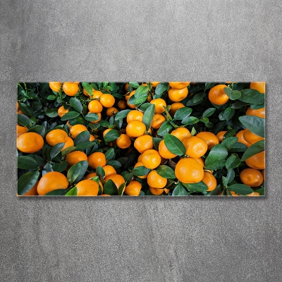 Glass picture wall art Tangerines