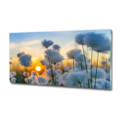 Glass wall art large Woolly