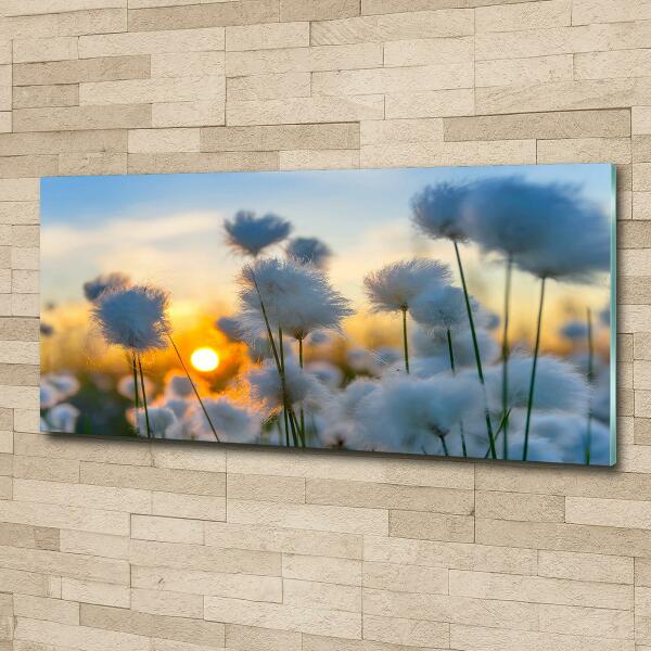 Glass wall art large Woolly