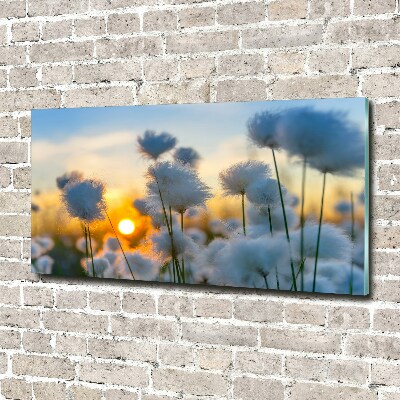 Glass wall art large Woolly