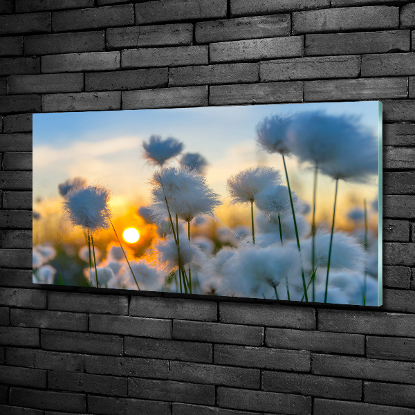 Glass wall art large Woolly