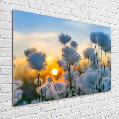 Glass wall art large Woolly