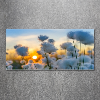 Glass wall art large Woolly