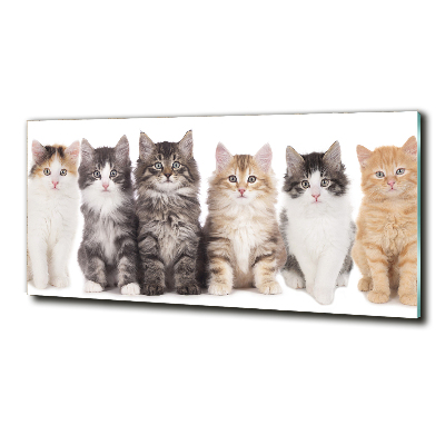 Glass picture wall art Six cats