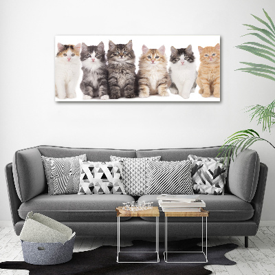 Glass picture wall art Six cats