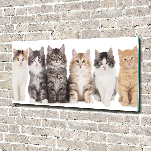 Glass picture wall art Six cats