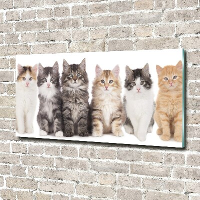 Glass picture wall art Six cats