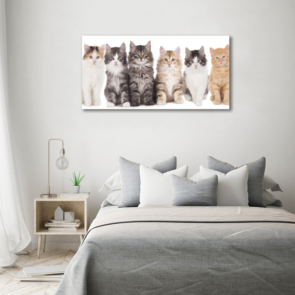 Glass picture wall art Six cats