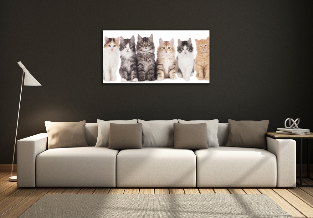 Glass picture wall art Six cats