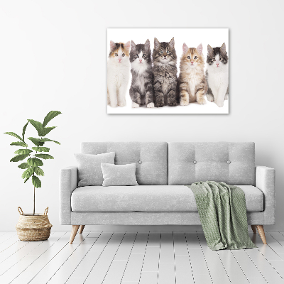 Glass picture wall art Six cats