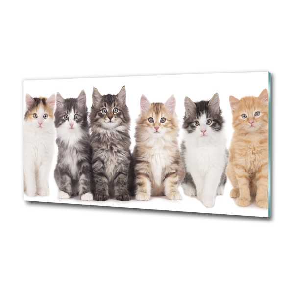 Glass picture wall art Six cats