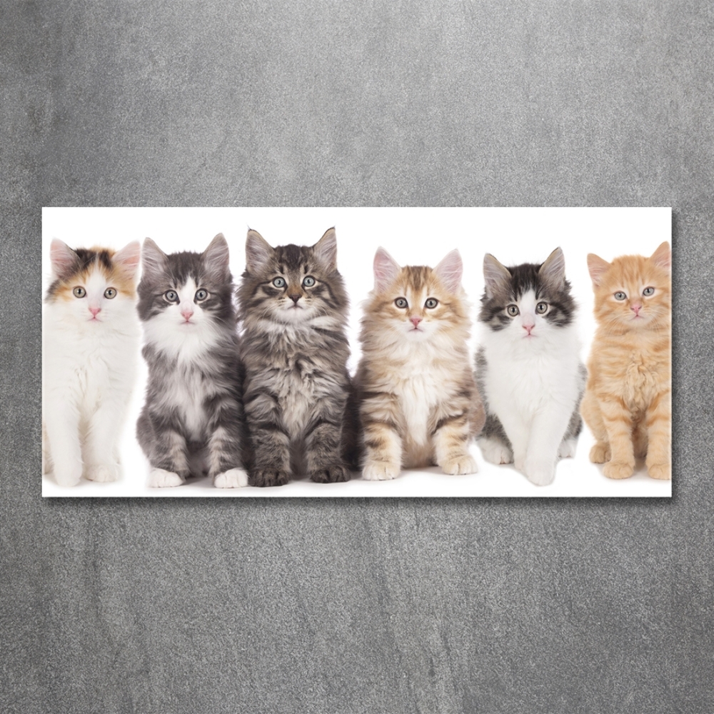 Glass picture wall art Six cats