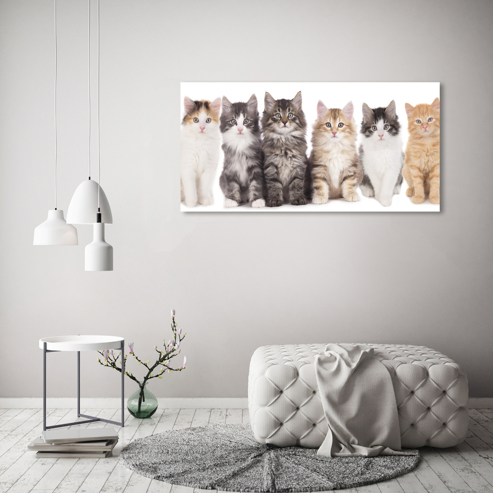 Glass picture wall art Six cats