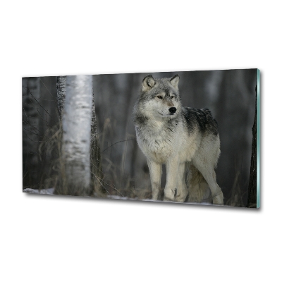 Glass picture wall art Gray wolf