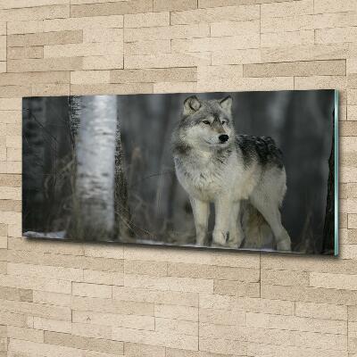 Glass picture wall art Gray wolf