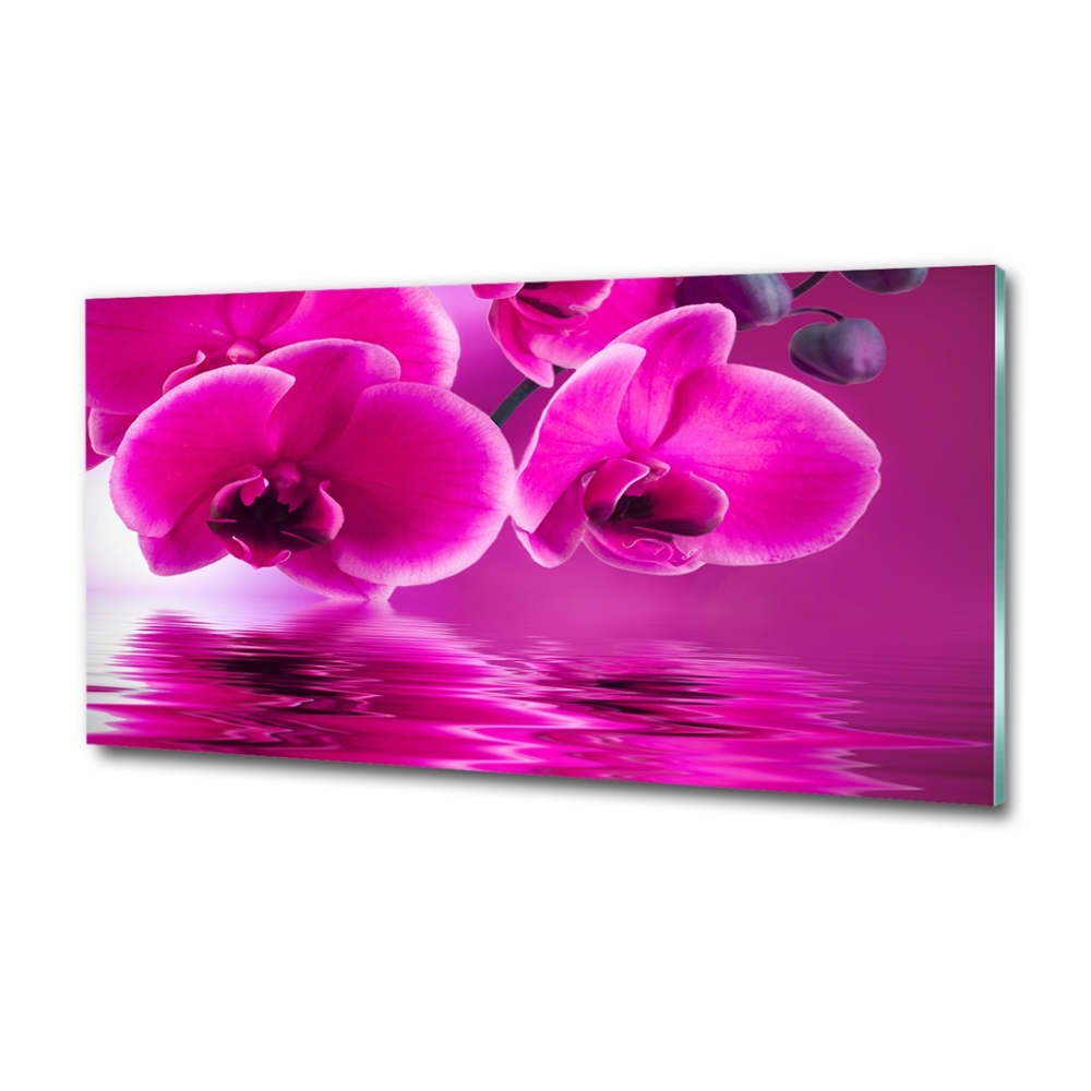 Glass picture print Orchid