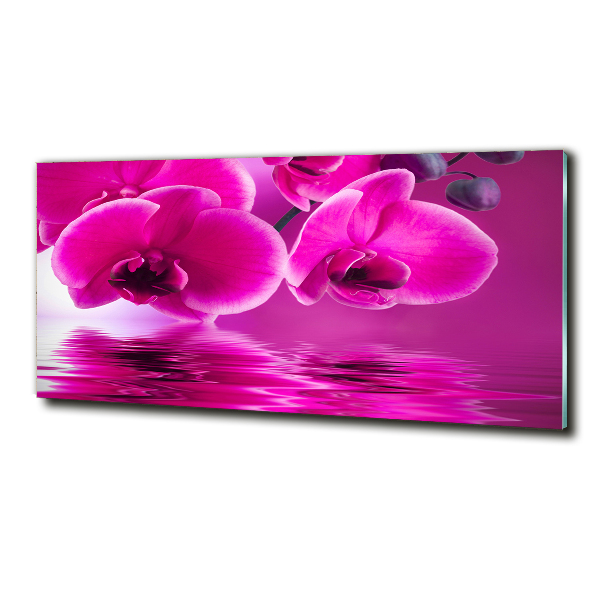 Glass picture print Orchid