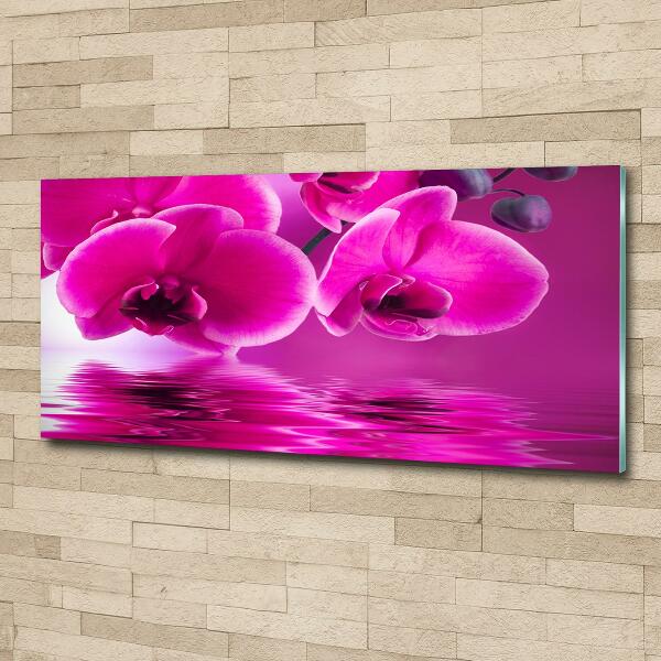 Glass picture print Orchid