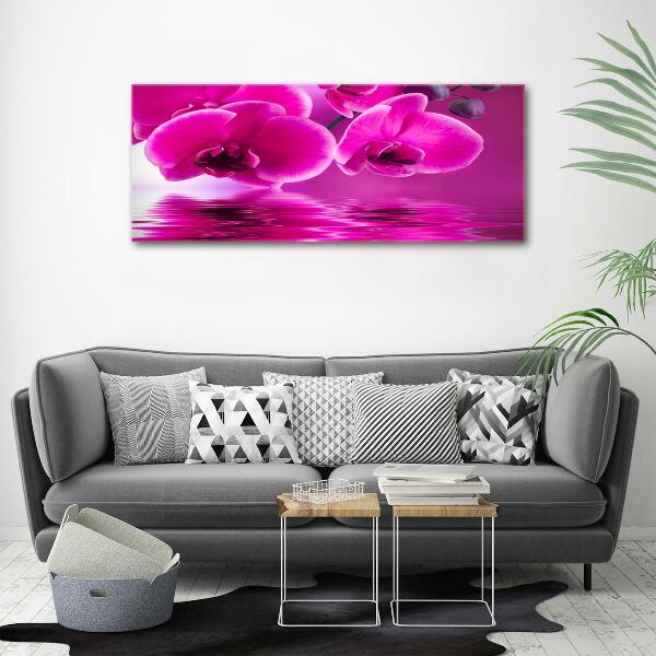 Glass picture print Orchid