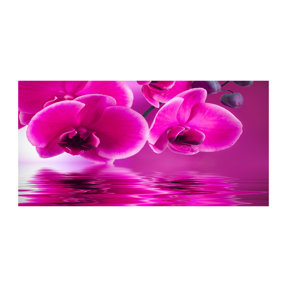 Glass picture print Orchid