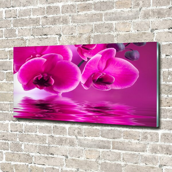 Glass picture print Orchid