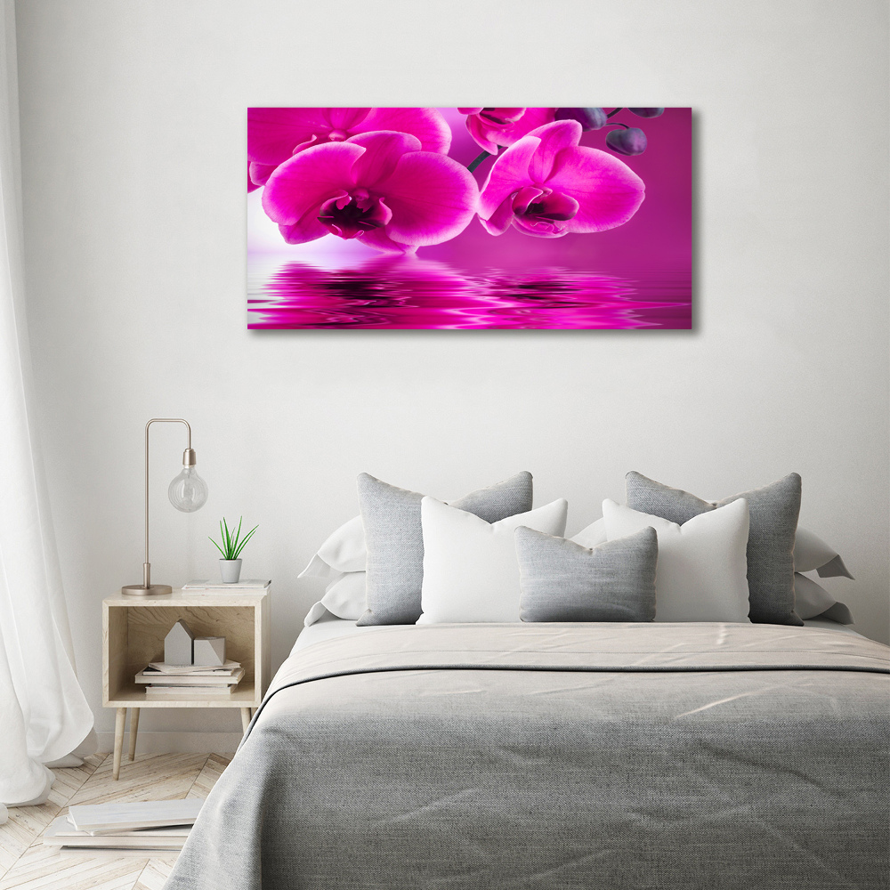 Glass picture print Orchid