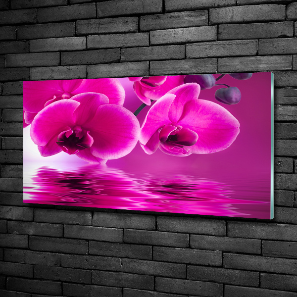 Glass picture print Orchid