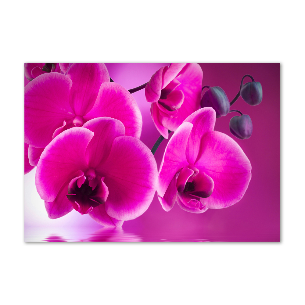 Glass picture print Orchid